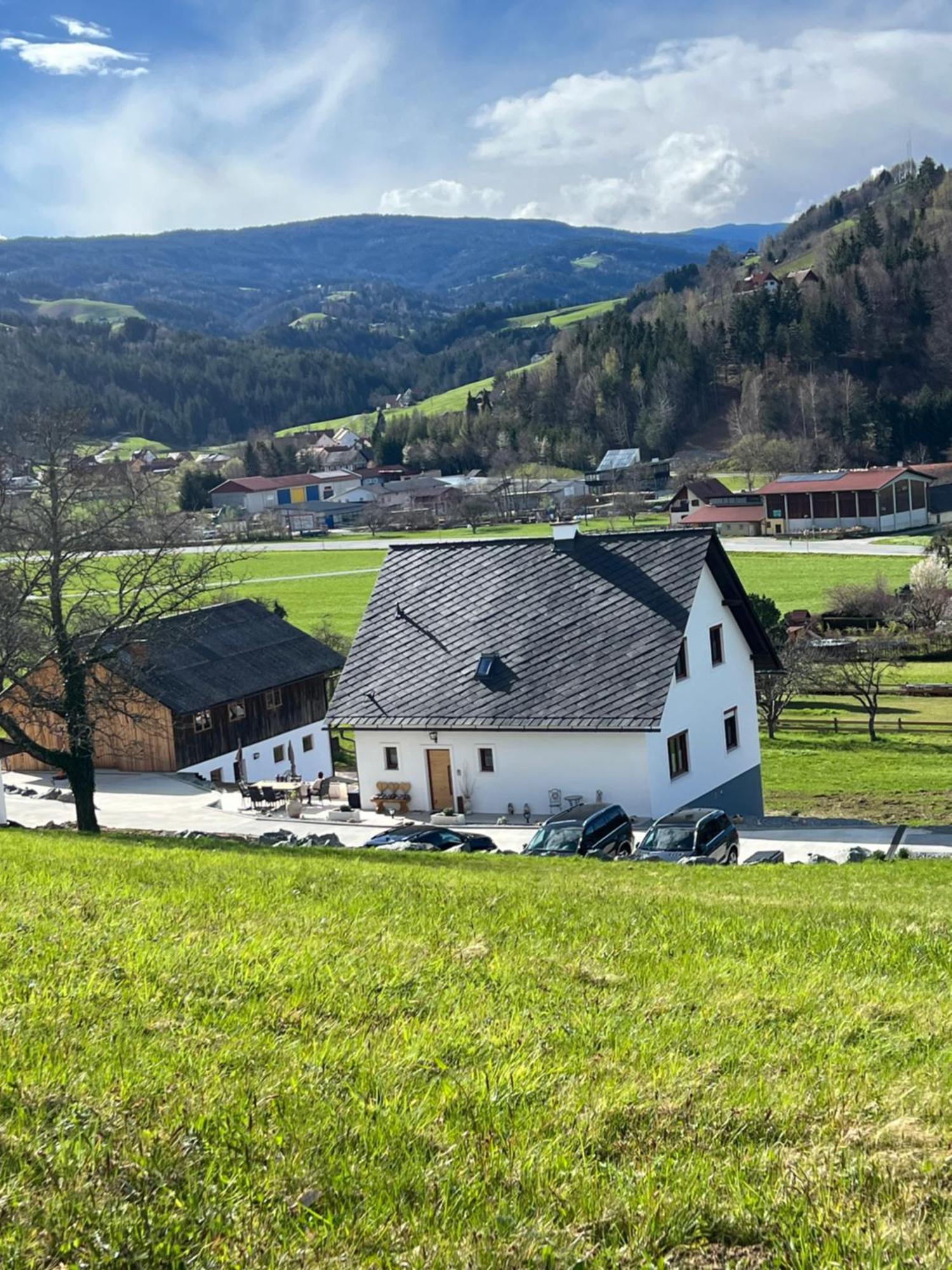 Sonnenschein Appartement- Und Ferienhaus Mit Terrasse Und Garten Eibiswald Eksteriør billede